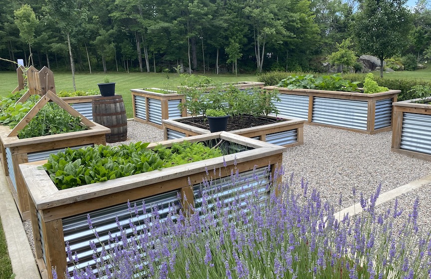 Raised beds in courtyard vegetable garden