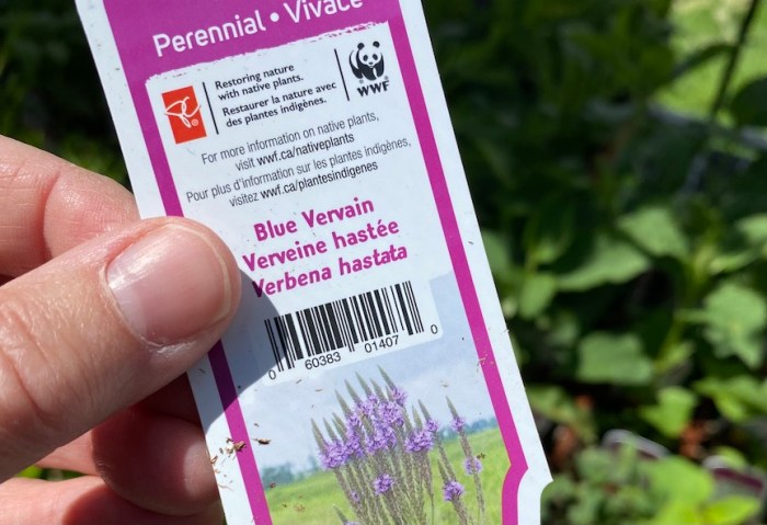 Plant tag showing native plant