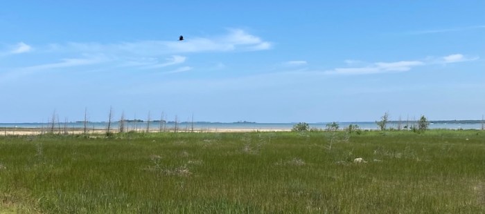 Shoreline north of Oliphant, Ontario